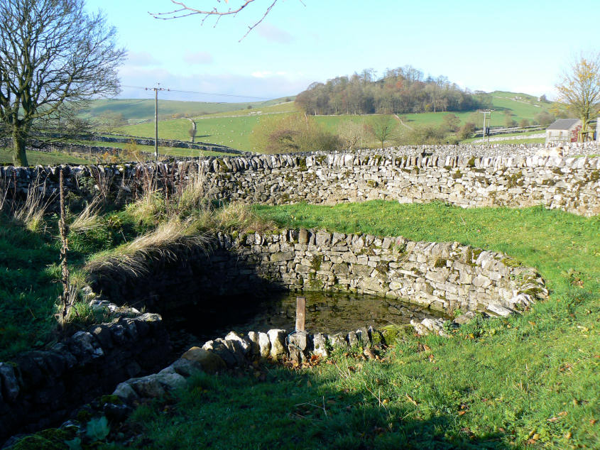 Alstonefield's Green Well Alstonefield's Green Well
